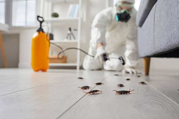 Commercial Kitchen Cockroach Control in Garrettsville